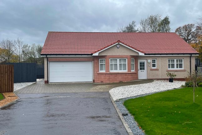 Thumbnail Bungalow to rent in Lochtyview Way, Thornton, Fife