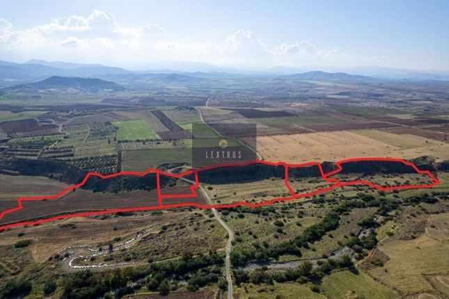 Land for sale in Kato Koutrafas 2770, Cyprus