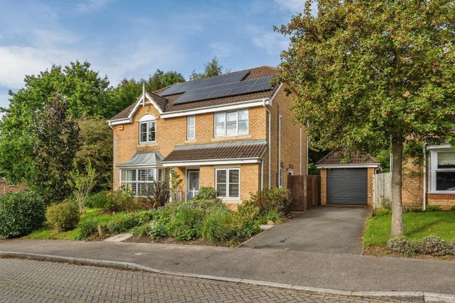 Thumbnail Detached house for sale in Ruby Close, Totton, Southampton, Hampshire