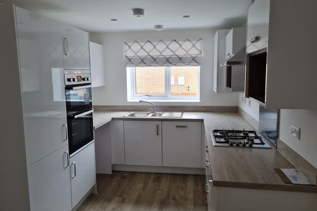 Thumbnail Property to rent in Blackberry Road, Doncaster