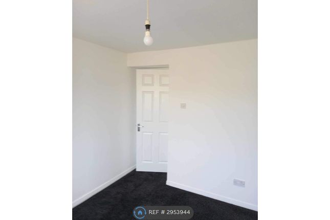 Hamilton Street, Carluke photo 3