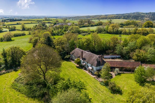 Legars House, Cullompton photo 2