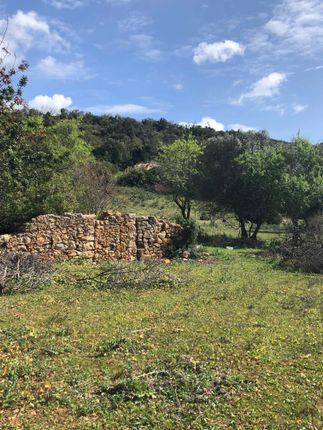 Land for sale in Land With Approved Project, Almancil, Loulé, Central Algarve, Portugal