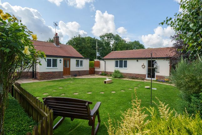Thumbnail Bungalow for sale in Brigsley Road, Ashby-Cum-Fenby, Grimsby