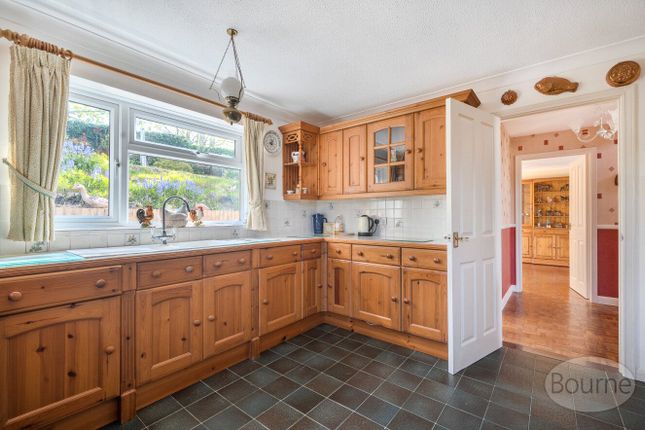 33, Kimbers, Petersfield photo 3