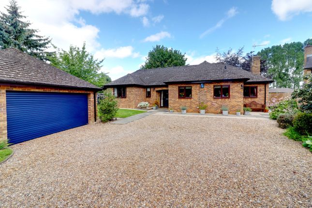 Thumbnail Detached bungalow for sale in Moulton Road, Pitsford, Northampton, Northamptonshire