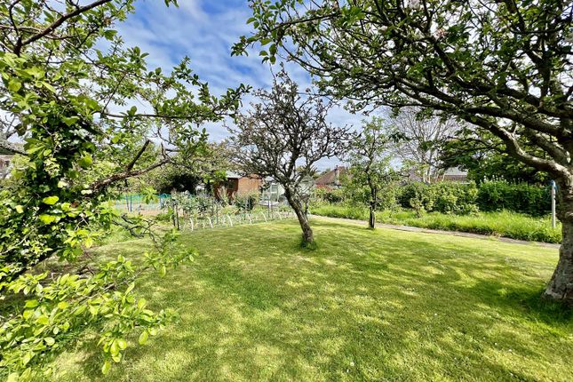 Detached house for sale in Nut Tree Orchard, Brixham