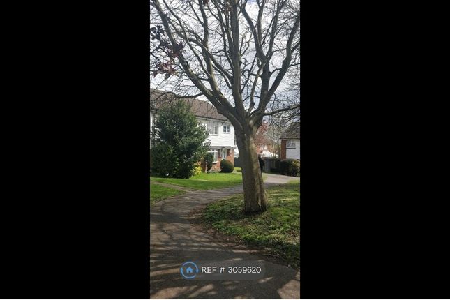 Lilac Walk, Calcot, Reading photo 4