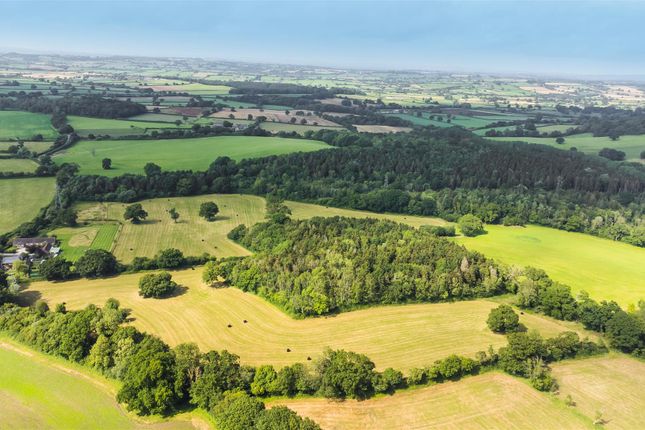 Thumbnail Land for sale in South Perrott, Beaminster