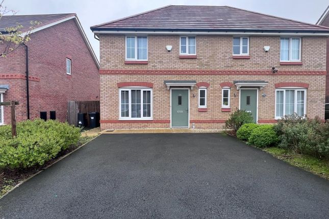 Processed-43D53683-0907-4DC2-9417-E7Abe59058A7.Jpe