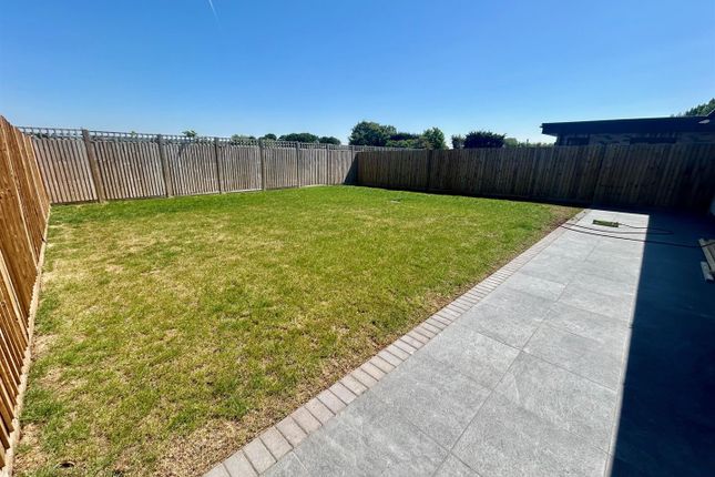Garden 2.Jpg