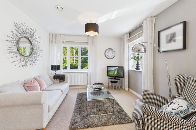 Apartment 2, Beaconsfield photo 3