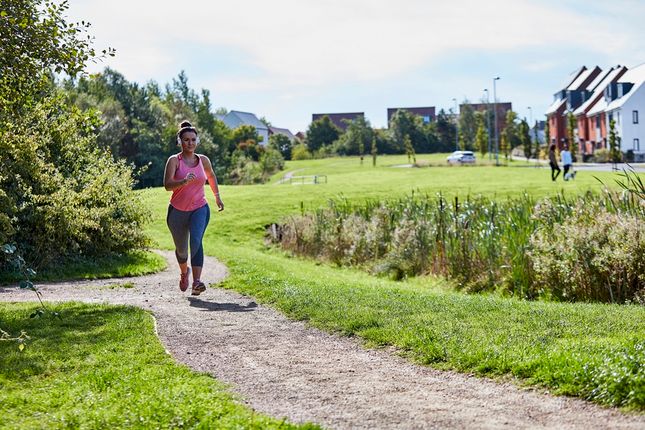 Areas Of Green Open Space On The Development