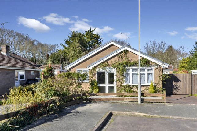 3-bed house on 63, Albany Drive, Wimborne, £400,000