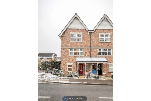 Semi-detached house to rent in Fernbank Road, Ascot