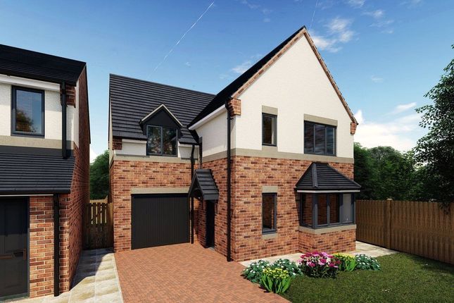 Thumbnail Detached house for sale in Sandy Lane, Worksop