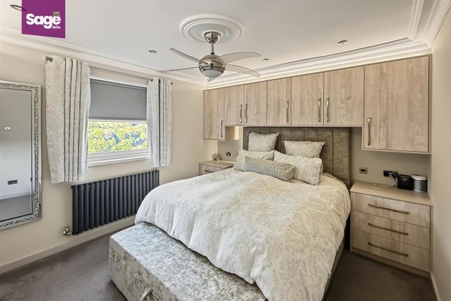 Sycamore Terrace, Newport photo 5