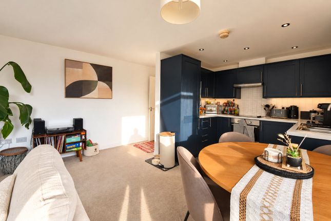 172,, Paxton Drive, Bristol photo 4