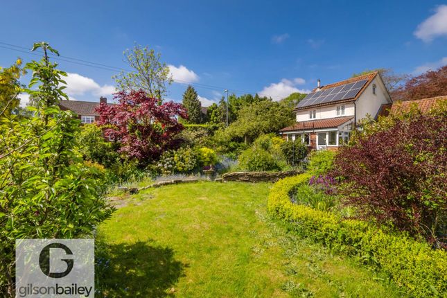 Detached house for sale in Strumpshaw Road, Brundall