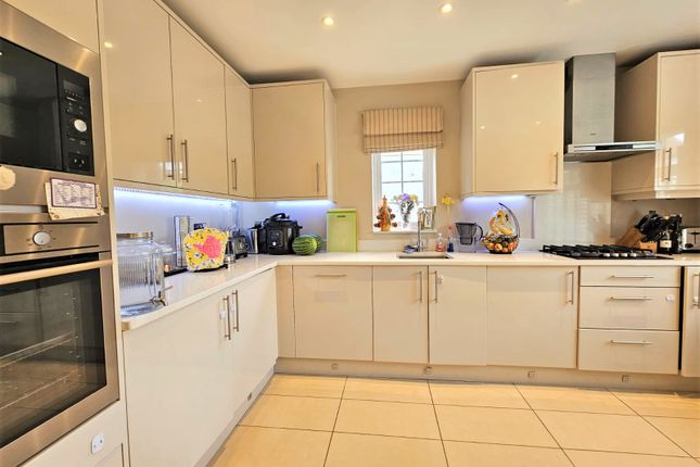 Semi-detached house to rent in Cedars Road, Maidenhead