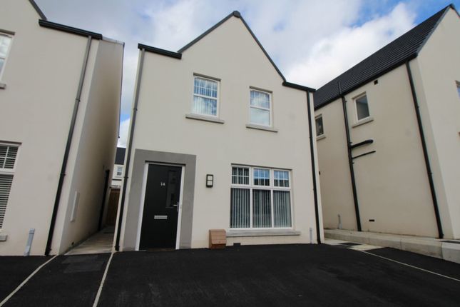 Thumbnail Detached house for sale in Ashbourne Manor Square, Carrickfergus, County Antrim