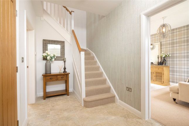 Plot 12, Saxon Fields,, Plot 12, The Kingsbury, Saxon Fields, Bridgwater photo 4