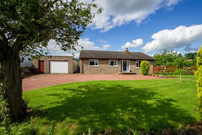 Thumbnail Detached bungalow for sale in Main Road, Milfield, Wooler