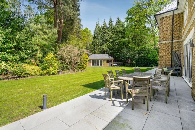 Patio And Garden
