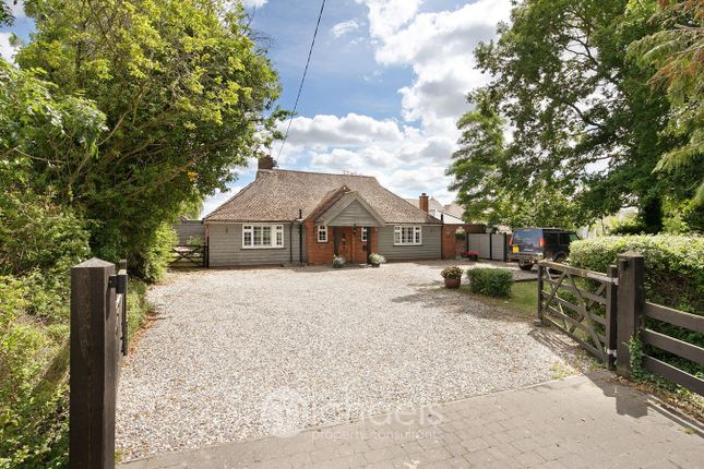 Thumbnail Detached bungalow for sale in Braintree Road, Shalford, Braintree