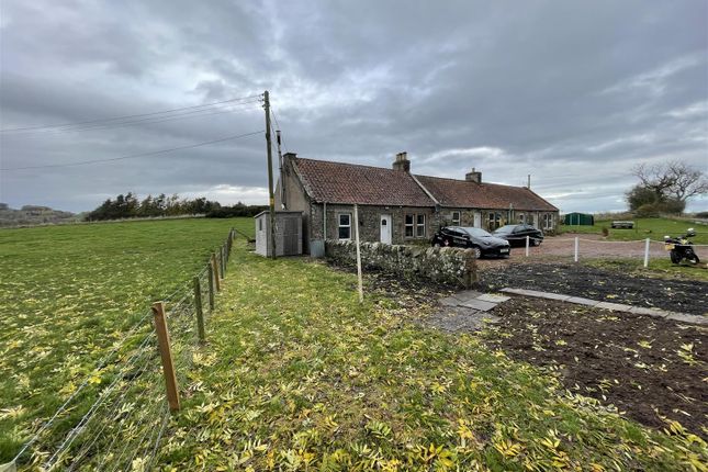 Thumbnail Cottage for sale in 1 Denhead Cottage, Ceres