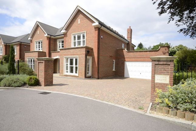 Thumbnail Detached house to rent in The Asters, Devenish Road, Ascot