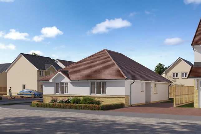 250615_Carluke_Plot 95_Tay_5K.Jpeg