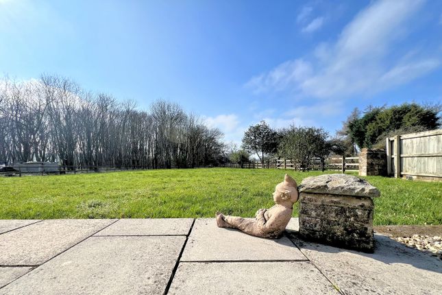 'Holly Cottage', Aust Road, Olveston photo 2