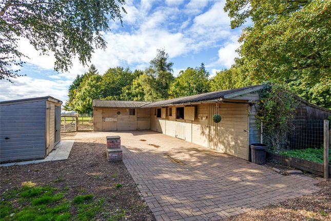 Stables