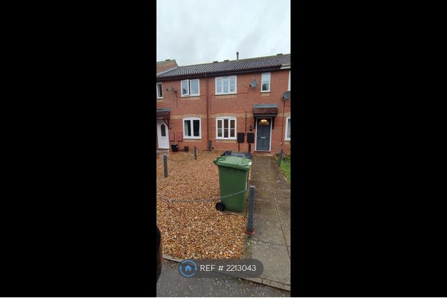 Thumbnail Terraced house to rent in Stiffkey Close, Watlington, King's Lynn