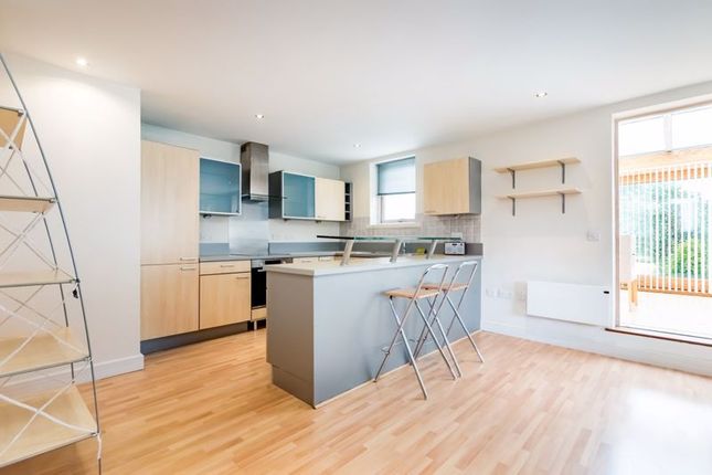 Kitchen/Living Area