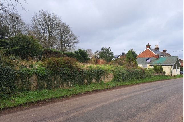 Thumbnail Detached bungalow for sale in Bighton, Alresford