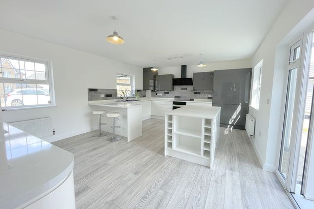 3, Winterbourne Gardens, Colchester photo 4