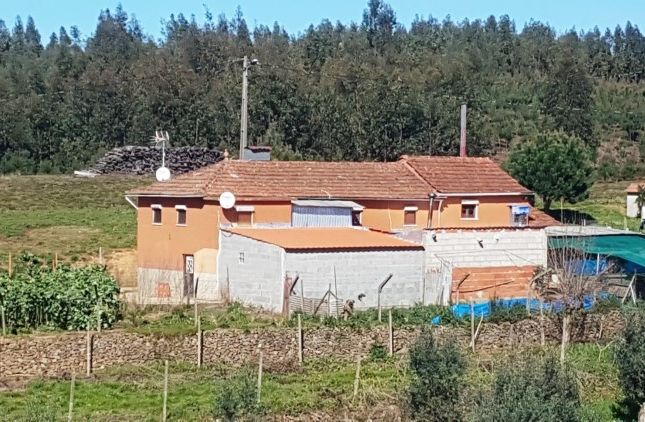 Farmhouse for sale in Pedrógão Grande, Pedrógão Grande (Parish), Pedrógão Grande, Leiria, Central Portugal