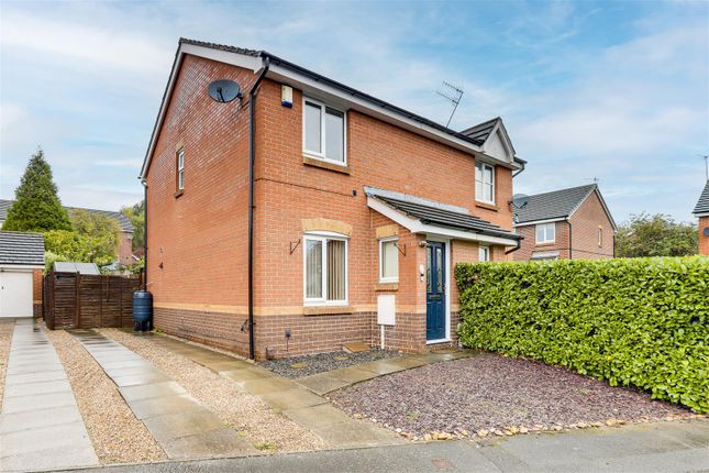 Img_0989-Img_0993 Copy.Jpg