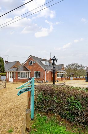 Thumbnail Detached house for sale in Fisher Lane, Chiddingfold