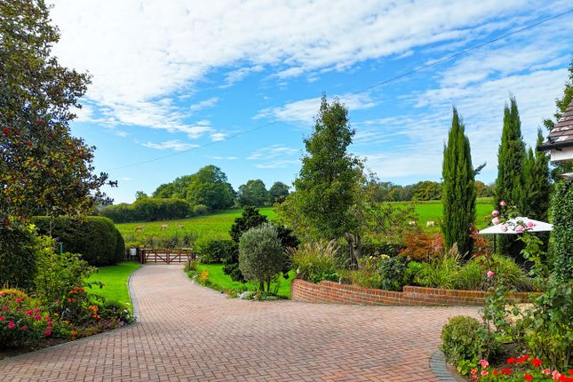 Malenda, Bunny Lane, Romsey photo 4