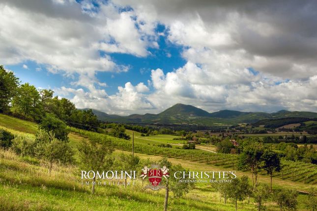 Thumbnail Farm for sale in Montone, Umbria, Italy
