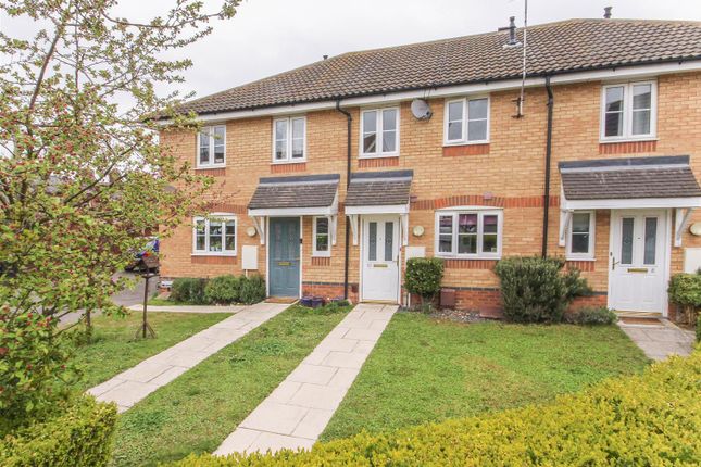 Thumbnail Terraced house to rent in Barley Close, Newmarket