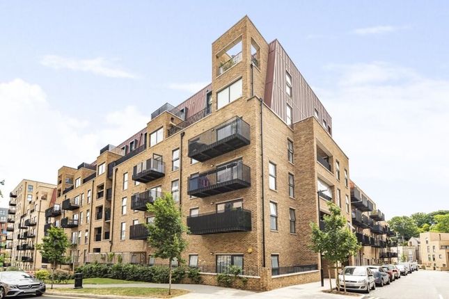 Rolf Terrace