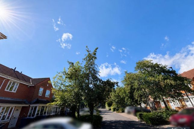 Middlewood Park, Newcastle upon Tyne photo 5