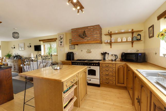 Owl Cottage,, Ashwater, Devon photo 2