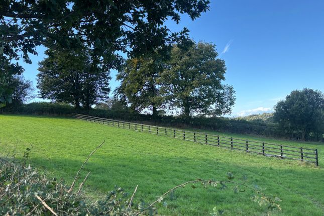 Gwynfryn, Gwyddgrug, Pencader photo 3