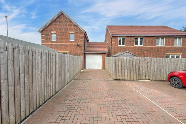 Driveway And Garage