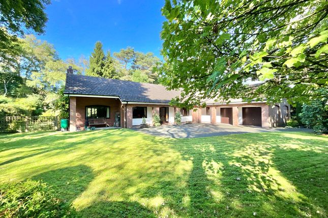 Pine Lodge Heath Top, Market Drayton photo 2